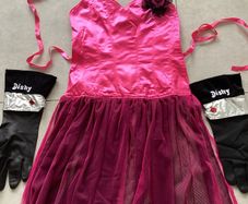Fancy Dress/ Halloween Pink Apron with rubber gloves. Brand New
