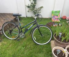 Raleigh Alana ladies bike