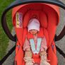CYBEX Gold : Modular G-Line Set Image 6