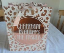 Champagne Wedding Gift Bag for Sale