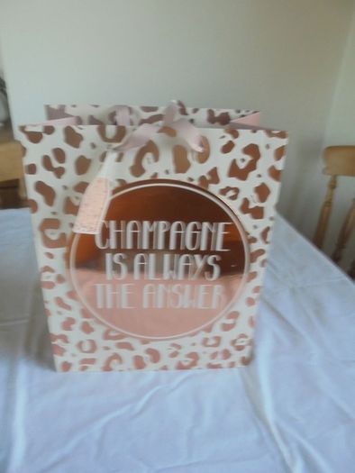 "Champagne" Gift Bag for Sale