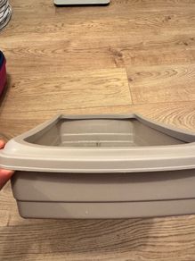 cat litter
