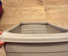 cat litter