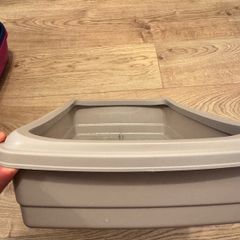 cat litter