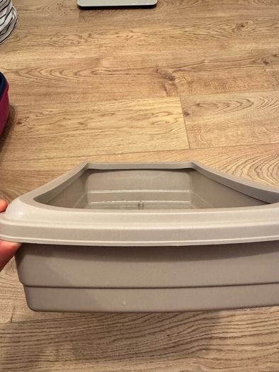 cat litter