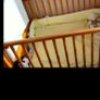 Cot bed Image 2