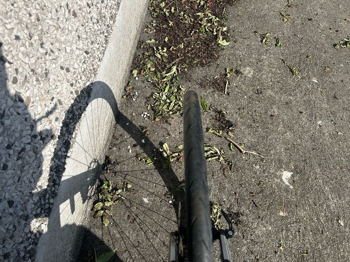 Medium Bike - Cannondale