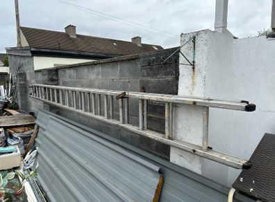 Extendable ladder