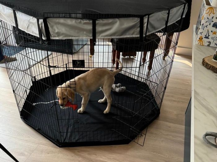 Puppy pen