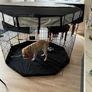 Puppy pen Image 3
