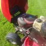lawnmower Image 5