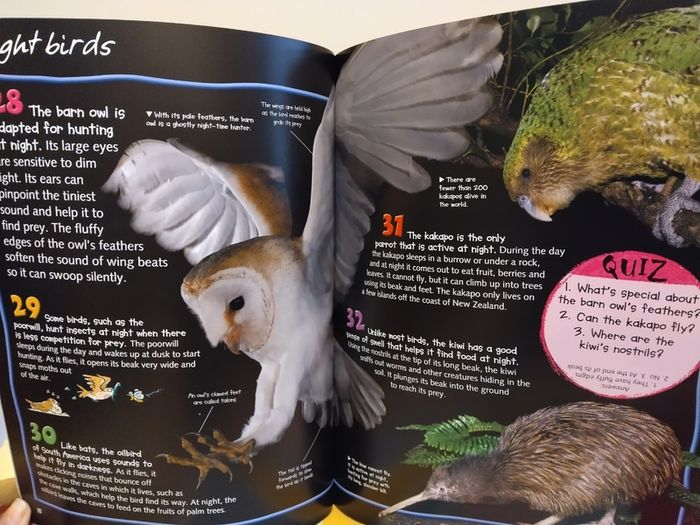 100 Facts Books By Miles Kelly