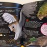 100 Facts Books By Miles Kelly Image 8
