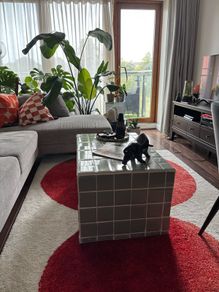 Turquoise Tiled Coffee Table (Project)