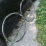 bontrager wheels Image 8