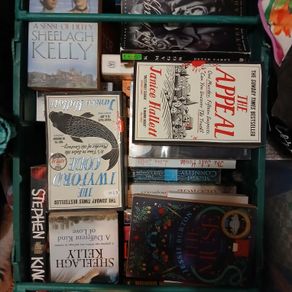 Large Collection of Books