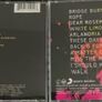 a FOO FIGHTER album choice Image 2