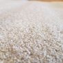 carpet Image 6