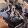 Optiwhite Aquarium/Fish Tank for sale Image 4
