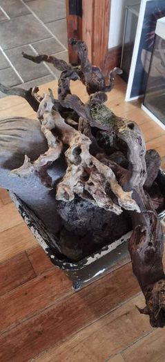 Optiwhite Aquarium/Fish Tank for sale