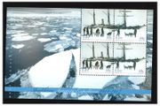 2004 Ireland 90th Anniversary of Shackleton's Antarctic Expedition Commemorative Stamp Booklet Pane Mint Never Hinged. Hibernian HP145