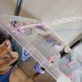 Clothes drier 24 pegs Image 3
