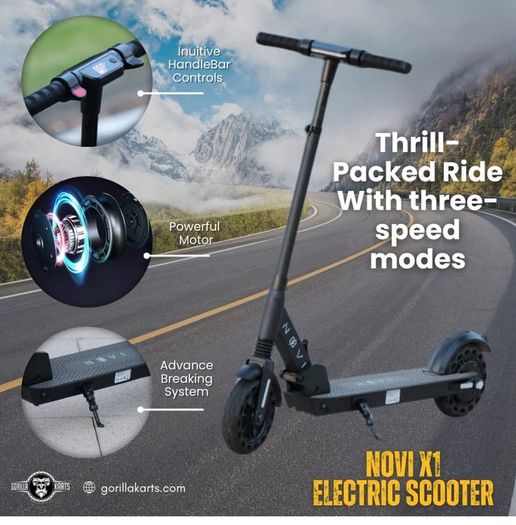Electric Scooter