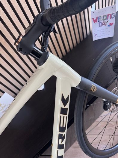 Trek Domane AL 4 -2026 Model