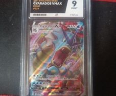 Gyarados vmax evolving skies 2021 #029