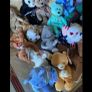 Vintage TY Beanies- Collectors Pieces Image 2
