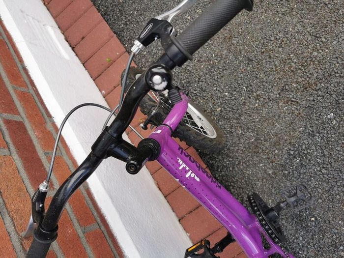 Kids ridgeback junior bike 14 inch