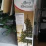 Christmas Tree Image 6