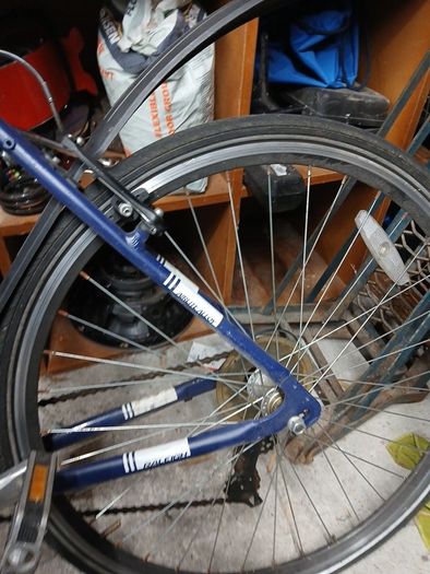 raleigh hybrid mountain bike