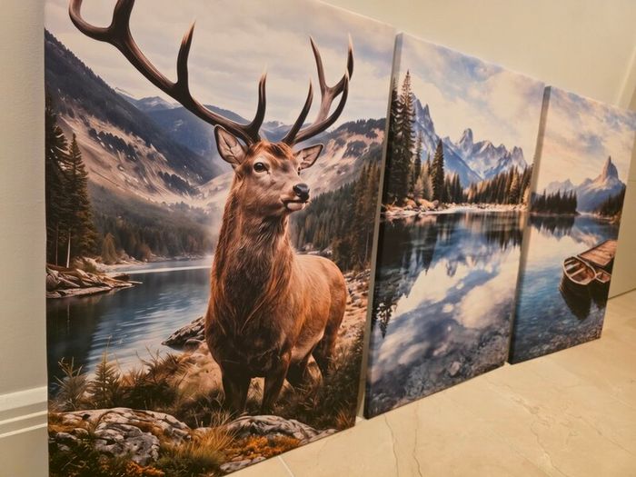 3 framed printed canvas 45x65cm