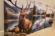 3 framed printed canvas 45x65cm