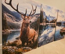 3 framed printed canvas 45x65cm