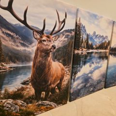 3 framed printed canvas 45x65cm