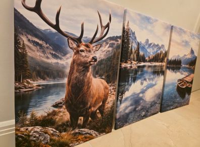 3 framed printed canvas 45x65cm