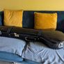 sitar Image 3