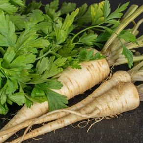 (P) Root Parsley Arat seeds 0.5g (125036)