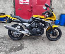 FZS600 for breaking