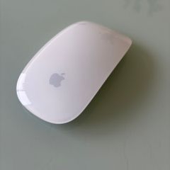 Apple mouse