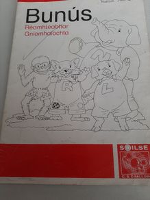 vintage Gaeilge Fallons activity book