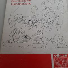 vintage Gaeilge Fallons activity book