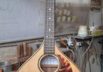 Handmade Mandola