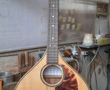 Handmade Mandola