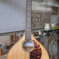 Handmade Mandola