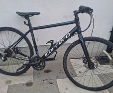 carrera gryphon