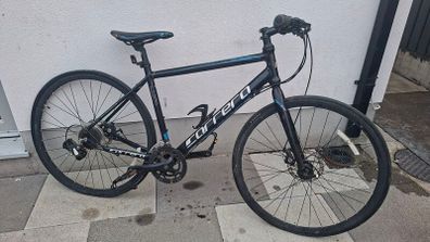 carrera gryphon
