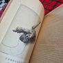 Injurious insects by Ormerod 16th report original Antique book Image 10